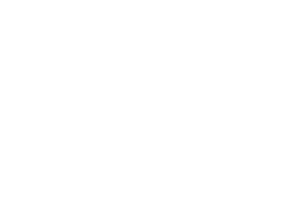 Fuel the Fire logo system